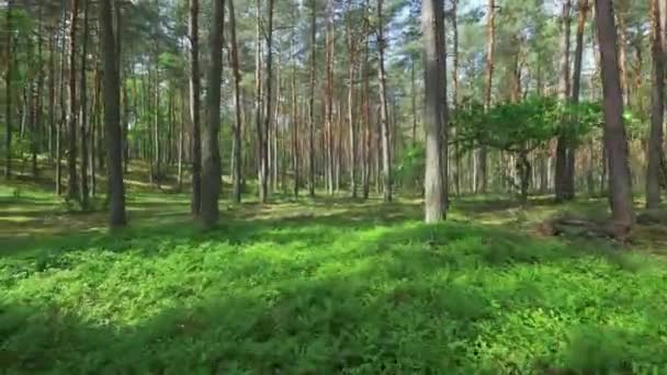 Lindas paisagens da Europa . — Vídeo de Stock