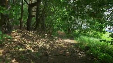 Avrupa'nın güzel manzaralar.