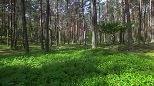 Schöne landschaften von europa. — Stockvideo