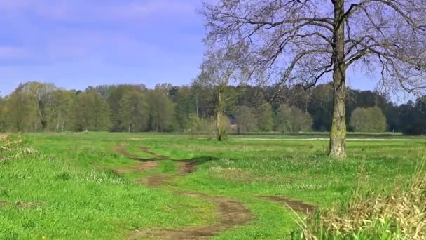 Ländliche, europäische Landschaft. — Stockvideo