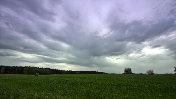 ポーランド サノク近くの牧草地 02102015 雲が空を移動 東ヨーロッパの草原 Hdr 時間経過の映像 ヨーロッパの風景の美しさ — ストック動画