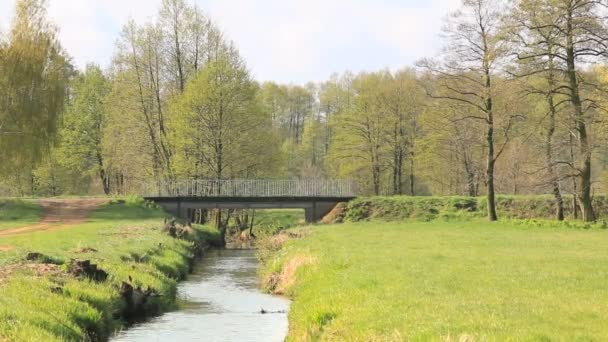 Hermoso paisaje rural . — Vídeo de stock