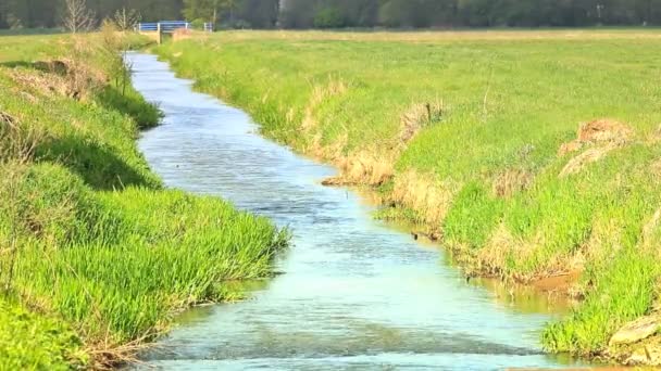 Beautiful rural landscape. — Stock Video