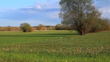 Kırsal ilkbahar manzarası. 