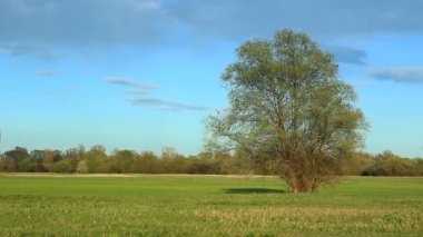 Kırsal ilkbahar manzarası. 