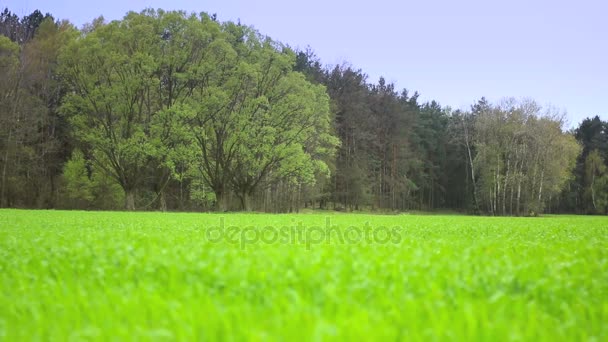 Hermoso paisaje rural . — Vídeos de Stock