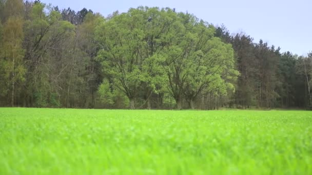 Beau paysage rural . — Video