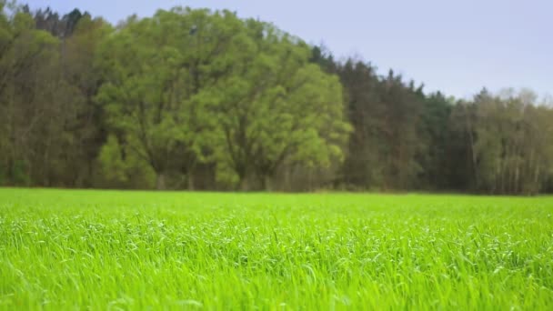 Hermoso paisaje rural . — Vídeo de stock