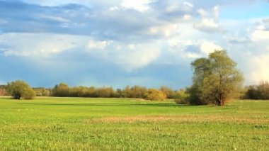 Kırsal ilkbahar manzarası. 