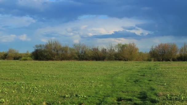 Paesaggio rurale di primavera. — Video Stock