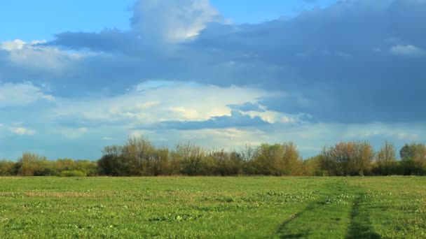 Landelijk voorjaarslandschap. — Stockvideo