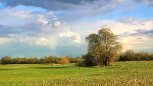 Wiosenny krajobraz obszarów wiejskich. — Wideo stockowe