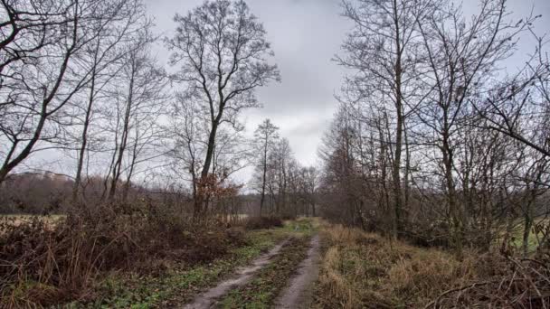 Pradera en Europa del Este, nubes moviéndose en el cielo . — Vídeos de Stock