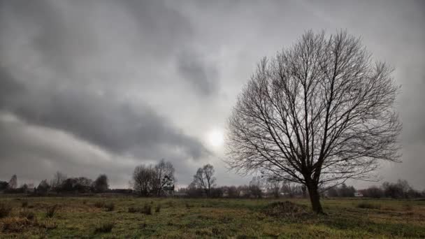 Pré en Europe de l'Est, nuages se déplaçant dans le ciel . — Video