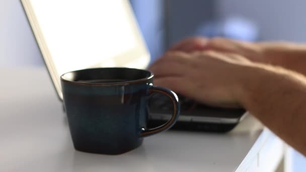 Adulto trabajando desde casa . — Vídeo de stock