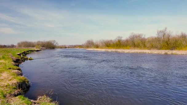 Pequeño río Wkra en el centro de Polonia . — Vídeo de stock