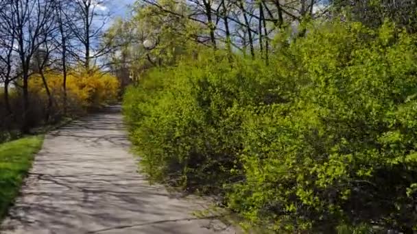 Spring time at the park. — Stock Video