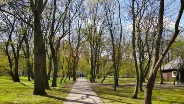 Primavera en el parque . — Vídeo de stock