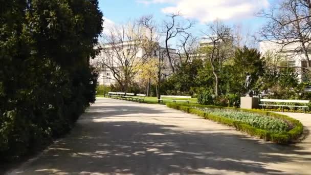 Lentetijd in het park. — Stockvideo