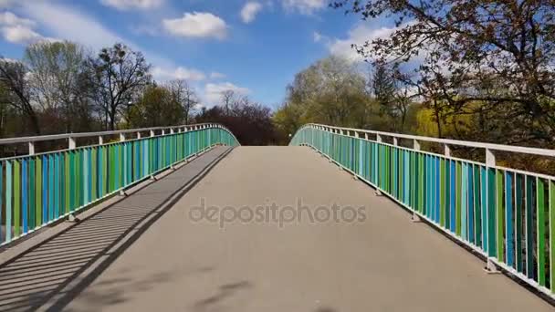 Μικρή γέφυρα στο πάρκο στο κέντρο της Βαρσοβίας. — Αρχείο Βίντεο