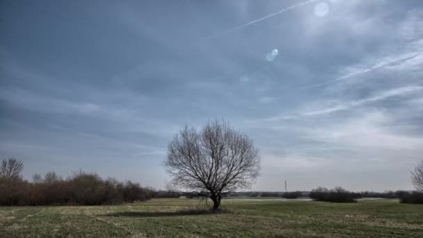 Hermoso paisaje en UHD . — Vídeos de Stock