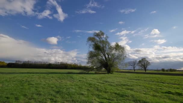 Весна в Европе - зеленый и голубой пейзаж — стоковое видео