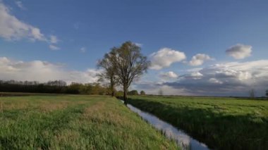 Avrupa bahar manzara