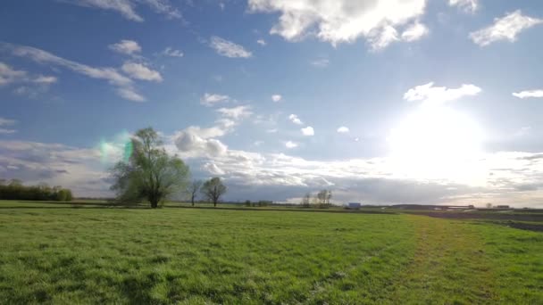 Primavera en Europa - paisaje lleno de verde y azul — Vídeo de stock