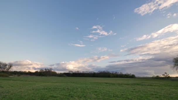 Lente in Europa - landschap vol groen en blauw — Stockvideo