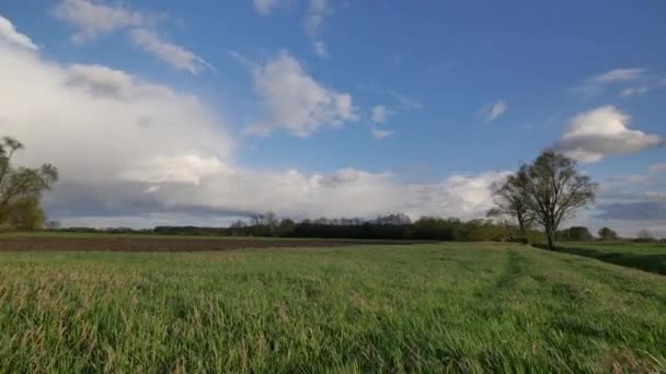 Primavera na Europa - paisagem cheia de verde e azul — Vídeo de Stock