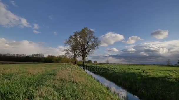 Europese lente landschap — Stockvideo