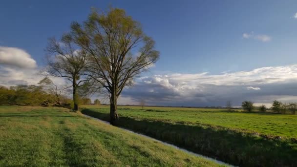 Europeiska våren landskap — Stockvideo