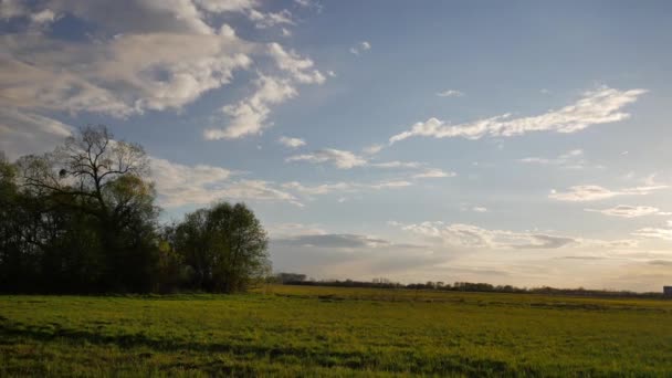 Primavera na Europa - paisagem cheia de verde e azul — Vídeo de Stock