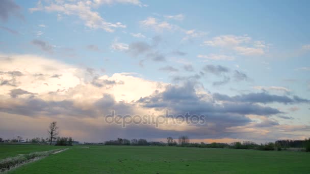 Spring in Europe - landscape full of green and blue — Stock Video