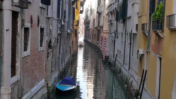 Архитектура Венеции — стоковое видео