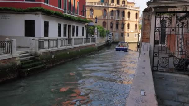 Arquitectura de Venecia — Vídeos de Stock