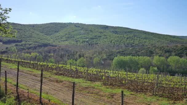 Paisagens de Tuscaony . — Vídeo de Stock