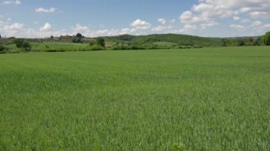 Tuscaony manzaralar.