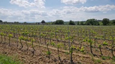 Tuscaony manzaralar.