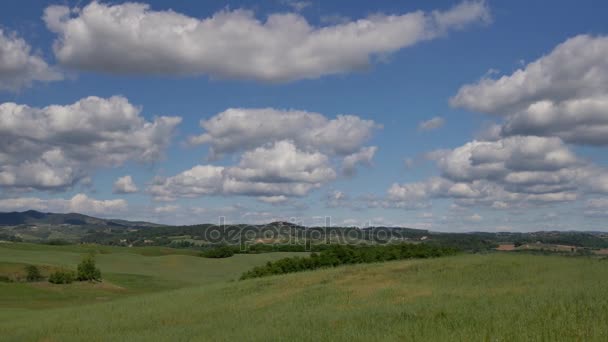 Landscapes dari Tuscaony . — Stok Video