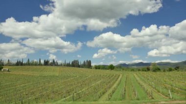 Tuscaony manzaralar.