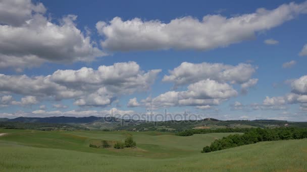 Landskap av Tuscaony. — Stockvideo