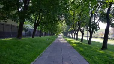 Güzel park Merkezi Varşova.