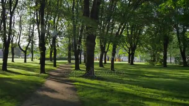 Krásný park v centru Varšavy. — Stock video
