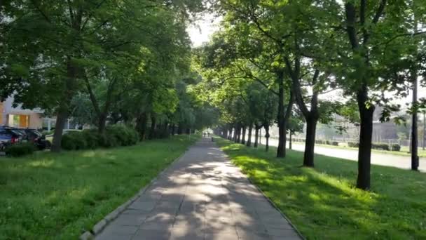 Prachtig park in het centrum van Warschau. — Stockvideo