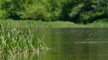 Avrupa'nın manzaralar.