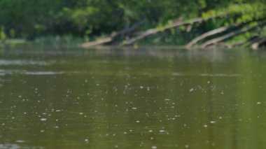 Avrupa'nın manzaralar.