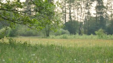 Avrupa'nın manzaralar.