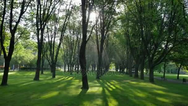 Beau parc dans le centre de Varsovie .