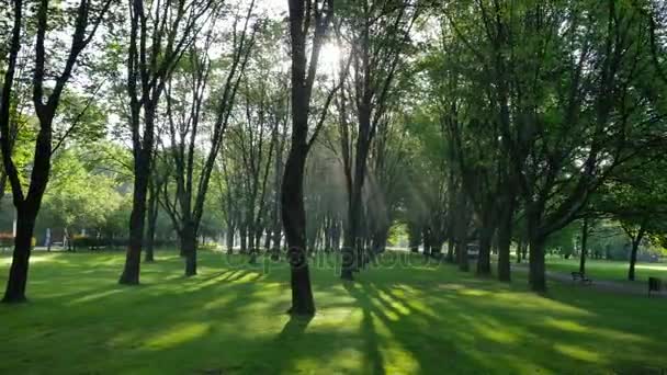 Hermoso parque en el centro de Varsovia . — Vídeo de stock